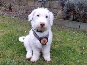 Withey ist bereit für sein neues Leben