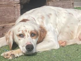 Ewen * Yann * Chloe * Margot * Grace