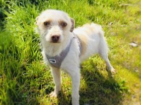 Gero ein tolles Kerlchen