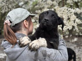 Nima hofft auf ihre große Chance