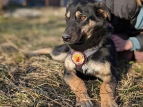 Bildhübsche Nauca sucht dich!