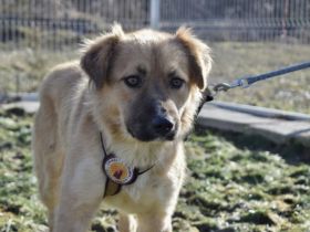 Milina - bezaubernd schön und freundlich