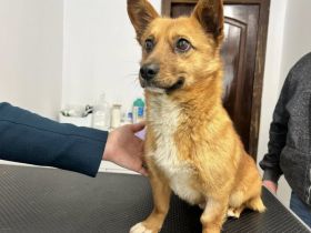 Frido - freundlich und offen