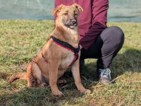 Darf Xenia bei dir ankommen?