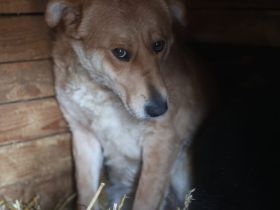 Nella sucht ihren sicheren Hafen