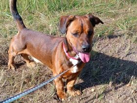 Karamel braucht Training