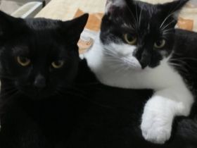 Traumpaar Elysia&Marcel