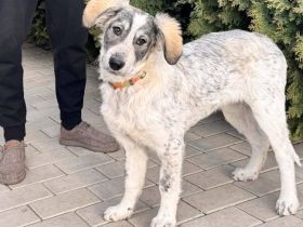 Süße Tami wartet auf dich!