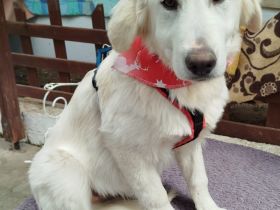 Olympia, 03/24 - süße Mama sucht Familie