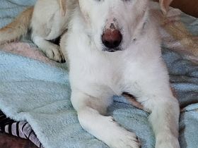 Olympia, 03/24 - süße Mama sucht Familie