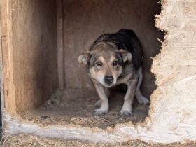 Möchtest du Pumbas Vertrauen gewinnen?