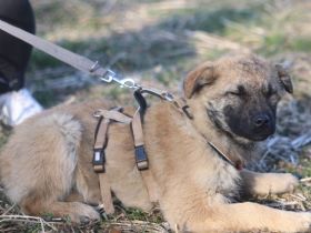 Wer begleitet Eloise ins Leben?