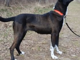 Diana unsere liebe Schönheit