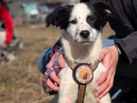 Ist Cleo genau die Richtige für dich?