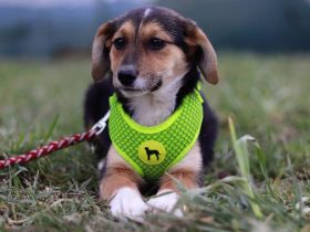 Die kleine Thea wartet auf ihre Familie