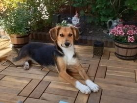 Die kleine Thea wartet auf ihre Familie