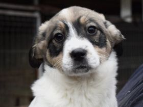 Lea will dein Leben auf den Kopf stellen