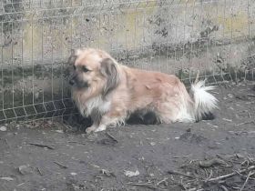 Marvel sucht ein ruhiges Zuhause