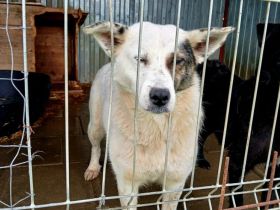 Wir Donata dein neues Familienmitglied?