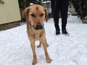 Barrys Koffer ist gepackt