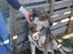 Pilou wartet schon auf dich!