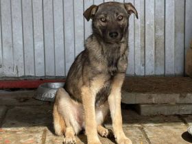 Elodie sehnt sich nach einem Zuhause