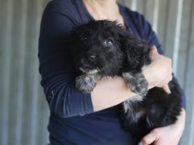 Die kleine Minnie warte auf dich