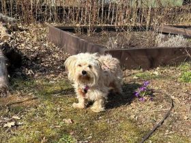 Bezaubernde Maria-Theresia