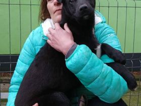 James sucht sein Für-immer-Zuhause