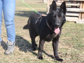 Anastasia ist bereit für neue Abenteuer