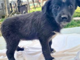 Lesedi sucht ihre Menschen