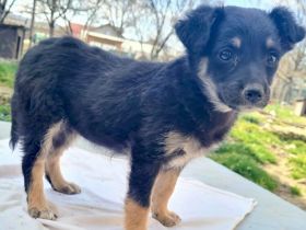 Kleine Lorea möchte ihr Köfferchen packen