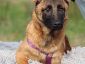 Kessy unsere große Schönheit...