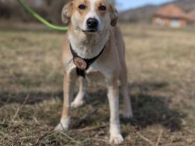 Daphne sucht ihr Glück