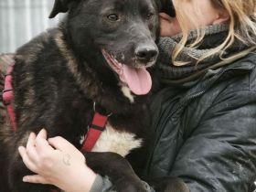 Peppi sucht sein Für-immer-Zuhause