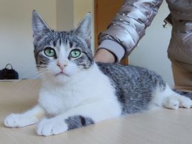 Die süße Margarita wünscht sich eine liebe Familie