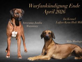 Lafiya Kyau Hali Mila