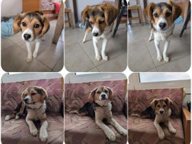 Eleni – bereit für gemeinsame Abenteuer