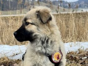 Flora - zuckersüß und lieb