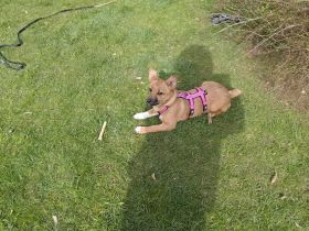 Zauberhafte kleine Marla