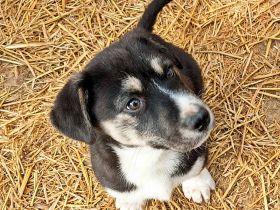 Agador, lieb und freundlich