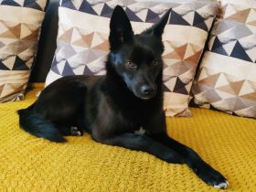 Zira ein liebes Mädchen