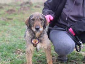 Kämpferin Rapunzel ist bereit für ein neues Kapitel