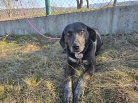 Julia - leise Seele sucht sicheren Hafen