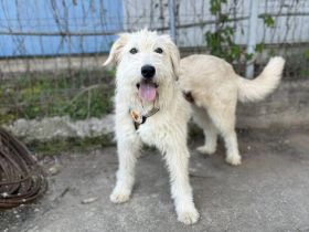 Mirabell - wunderschön und liebenswert