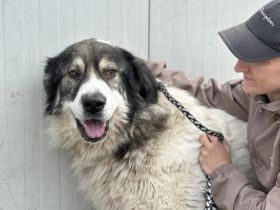 Edgar sucht HSH-Fans