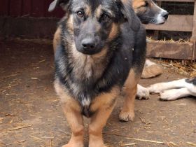 Apple sucht ihr Für-immer-Zuhause