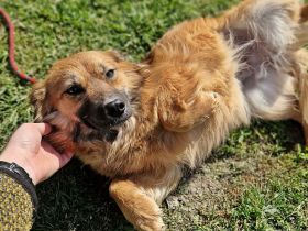 Luana, sehr lieb und freundlich