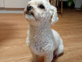 Princess 3 Jahre ❤️