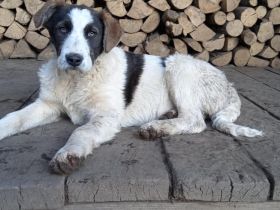 Gibst du Freyja eine Chance?!